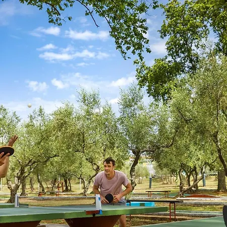 Aminess Maravea Camping Resort Holiday Homes Novigrad (Istria)